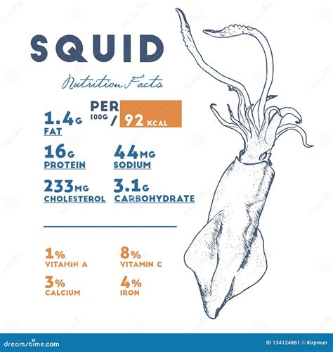 nutrition value of squid.